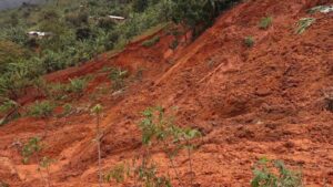 Lire la suite à propos de l’article Burundi: « seul le  système d’alerte précoce harmonisé réduirait les risques de catastrophe» Désiré Bundoyi expert de la Croix Rouge