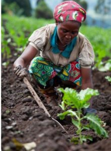 Lire la suite à propos de l’article Le numérique, ce nouveau mur qui sépare la RDC