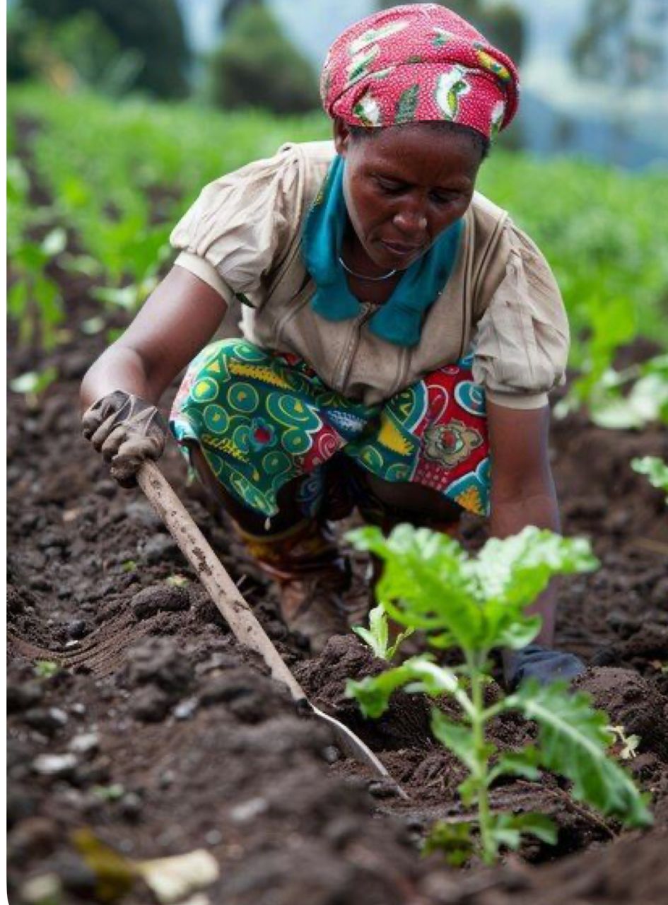 You are currently viewing Le numérique, ce nouveau mur qui sépare la RDC